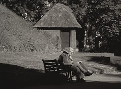 Monochrome Garden - Norwich