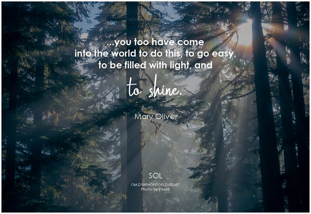 Mary Oliver ...you too have come into the world to do this, to go easy, to be filled with light, and to shine
