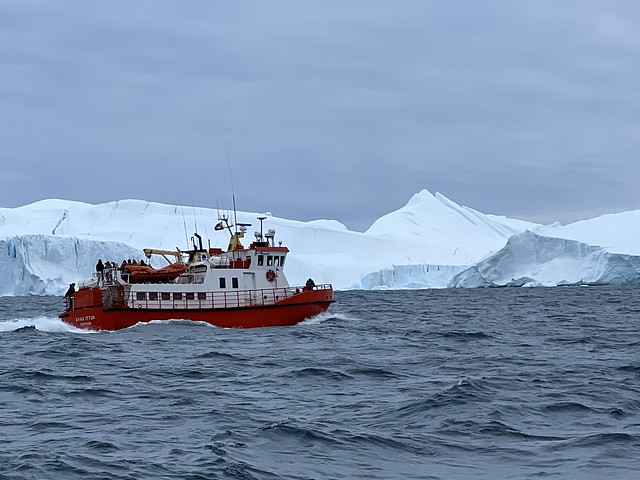 En Ilulissat hay múltiples excursiones para ver ballenas