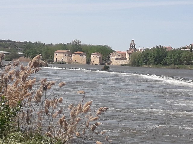 Aceñas  (watermills) and weir, Taken  from Riverside  Walk  along South Bank  of  River  Duero.,  Zamora, Castille  and Leon, Spain