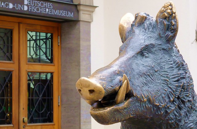 Munich - Wild Boar