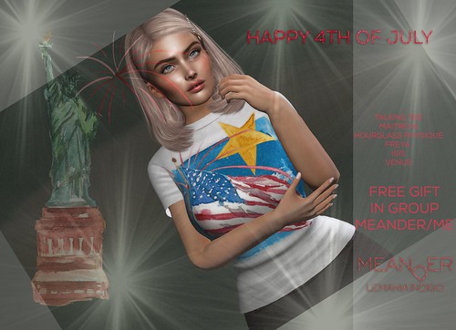 4th of July TEE Free in Group Meander/Me