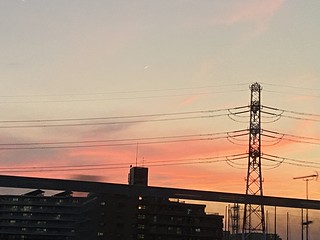 sunset (182/365)