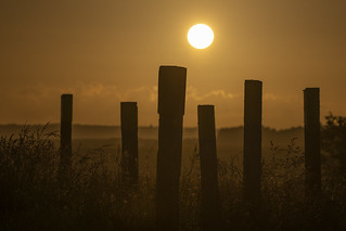Posts and Sunset 4
