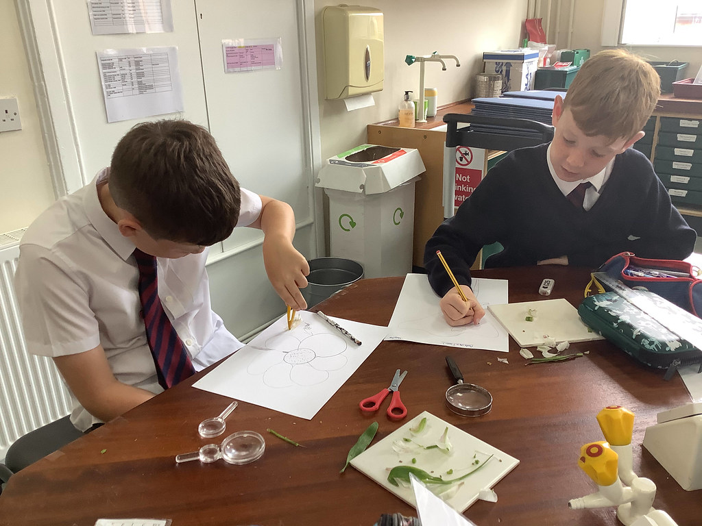 Year 5 Science 5 July 2022