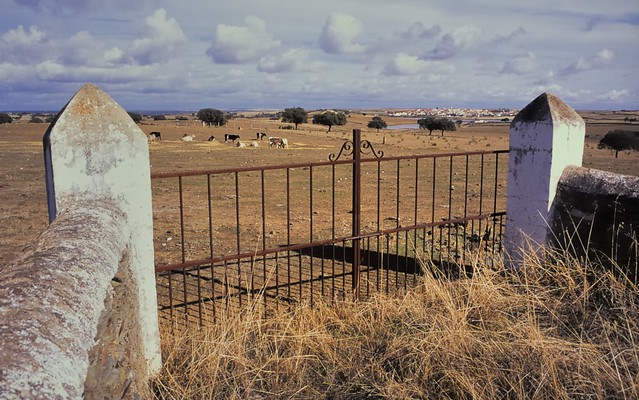 Rural panorama, Extremadura, Spain.