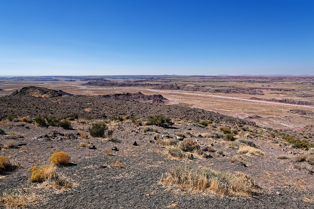 Petrified Forest Setting Seen at Pintado Point (Petrified Forest National Park)