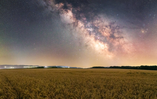 Fields of Night