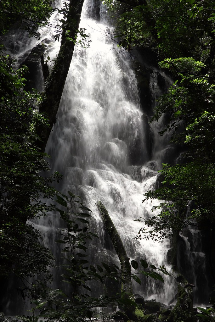 Rincon De La Vieja National Park seasonal waterfall