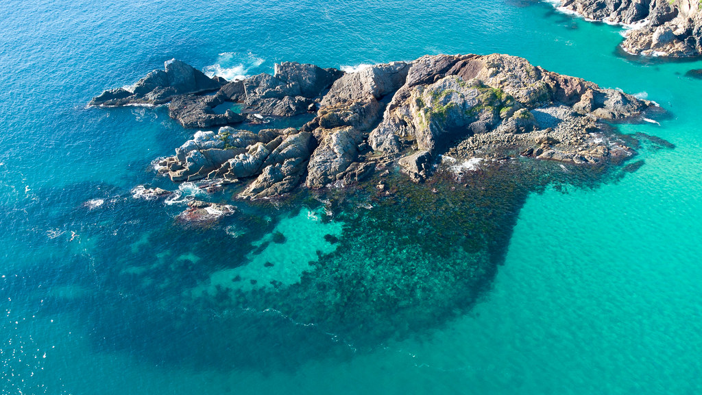 Status Rock showing reef and barrens #marineexplorer