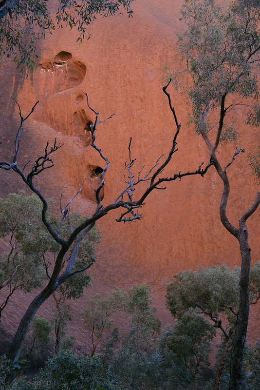 Rock face near Mutijulu waterhole, Uluṟu