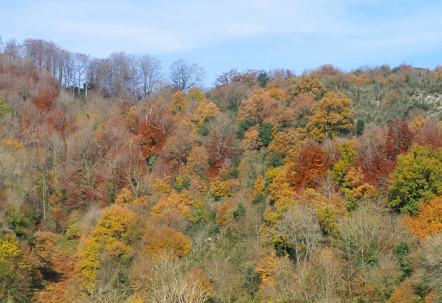 Autumn colours, Arques to Bouisse