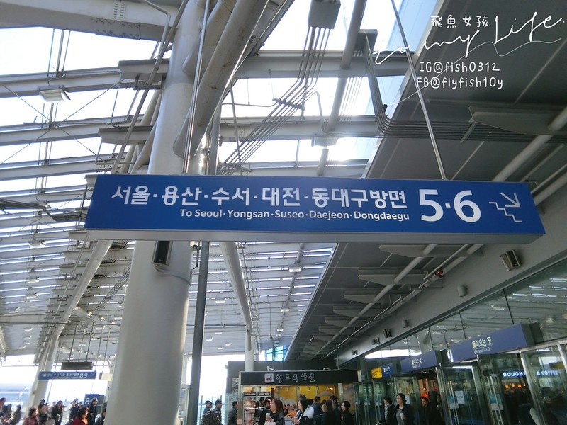 韓國釜山 從釜山到慶洲  釜山慶洲自由行  KTX慶洲一日遊 交通懶人包 屍速列車 釜山站  