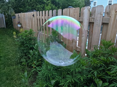 Bubble in garden