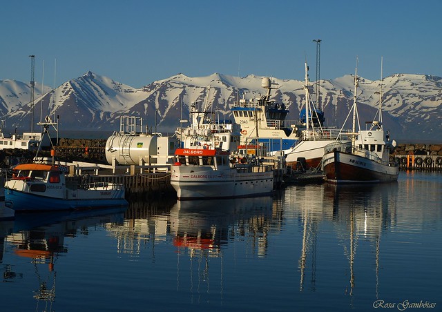 The scenic Dalvik Harbour...