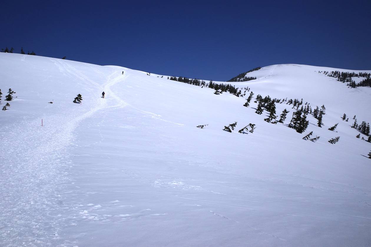 【福島】会津駒ヶ岳 GWに行く日帰り雪山登山　真っ白い稜線