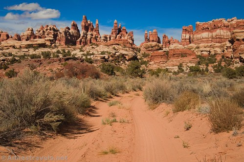 Walking along the Joint Road with views of the Needles, Canyonlands National Park, Utah