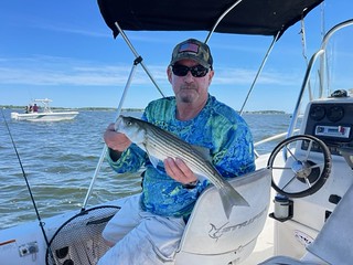 Photo of man in a boat holding a striped bass