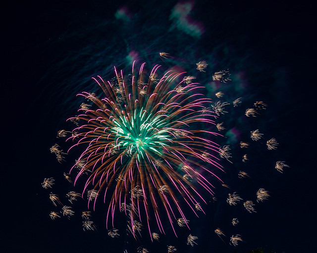 Fireworks July 4th #1
