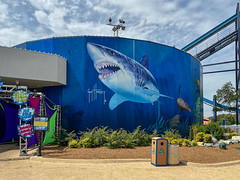 Photo 21 of 30 in the SeaWorld San Antonio on Tue, 14 Jun 2022 gallery