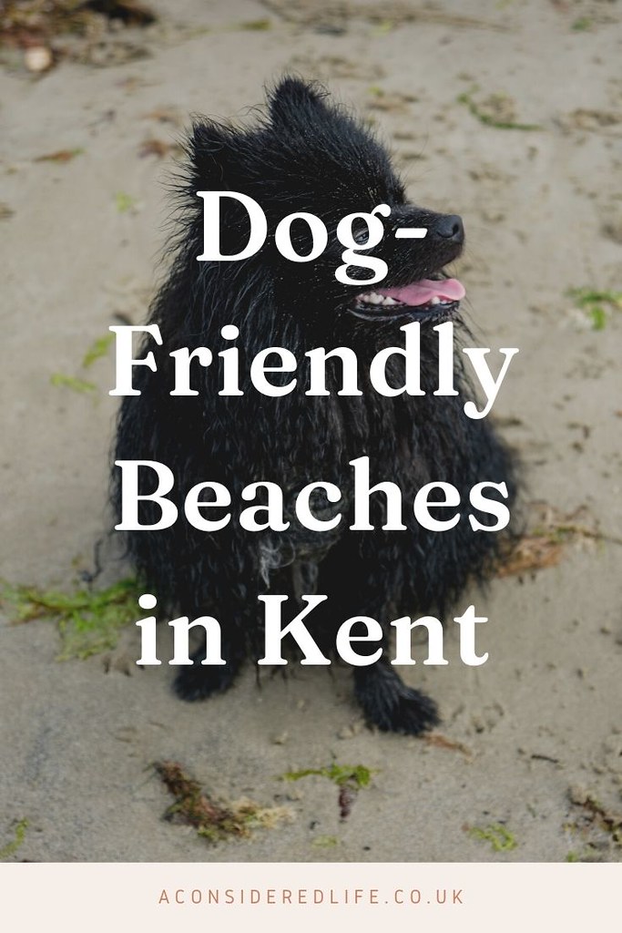 The Best Dog-Friendly Beaches In Kent