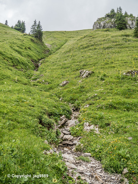 KLE010 Source of the Waldemme River, Giswil, Canton of Obwalden, Switzerland