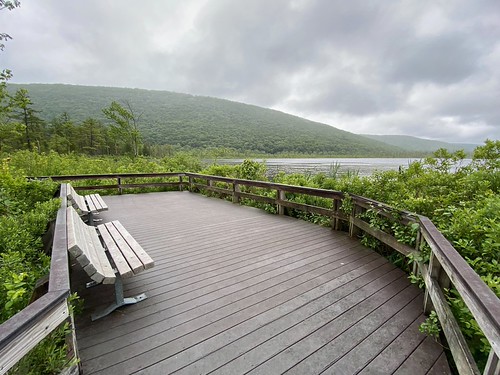 Viewing the Pond on a Dreary Day, newyork labradorhollowuniquearea