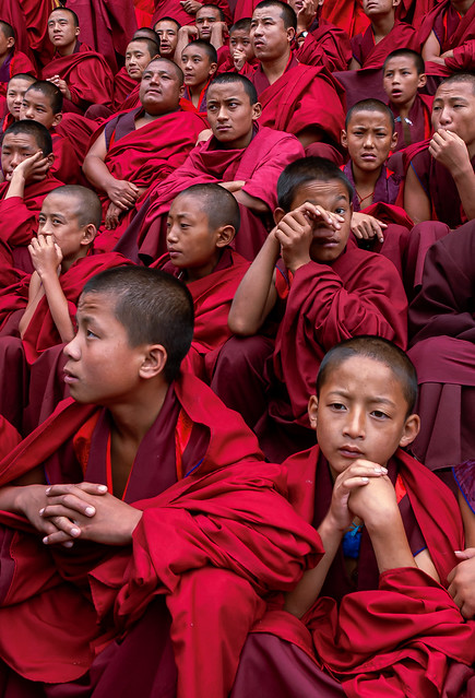Monks Watching the Thimphu Tsechu