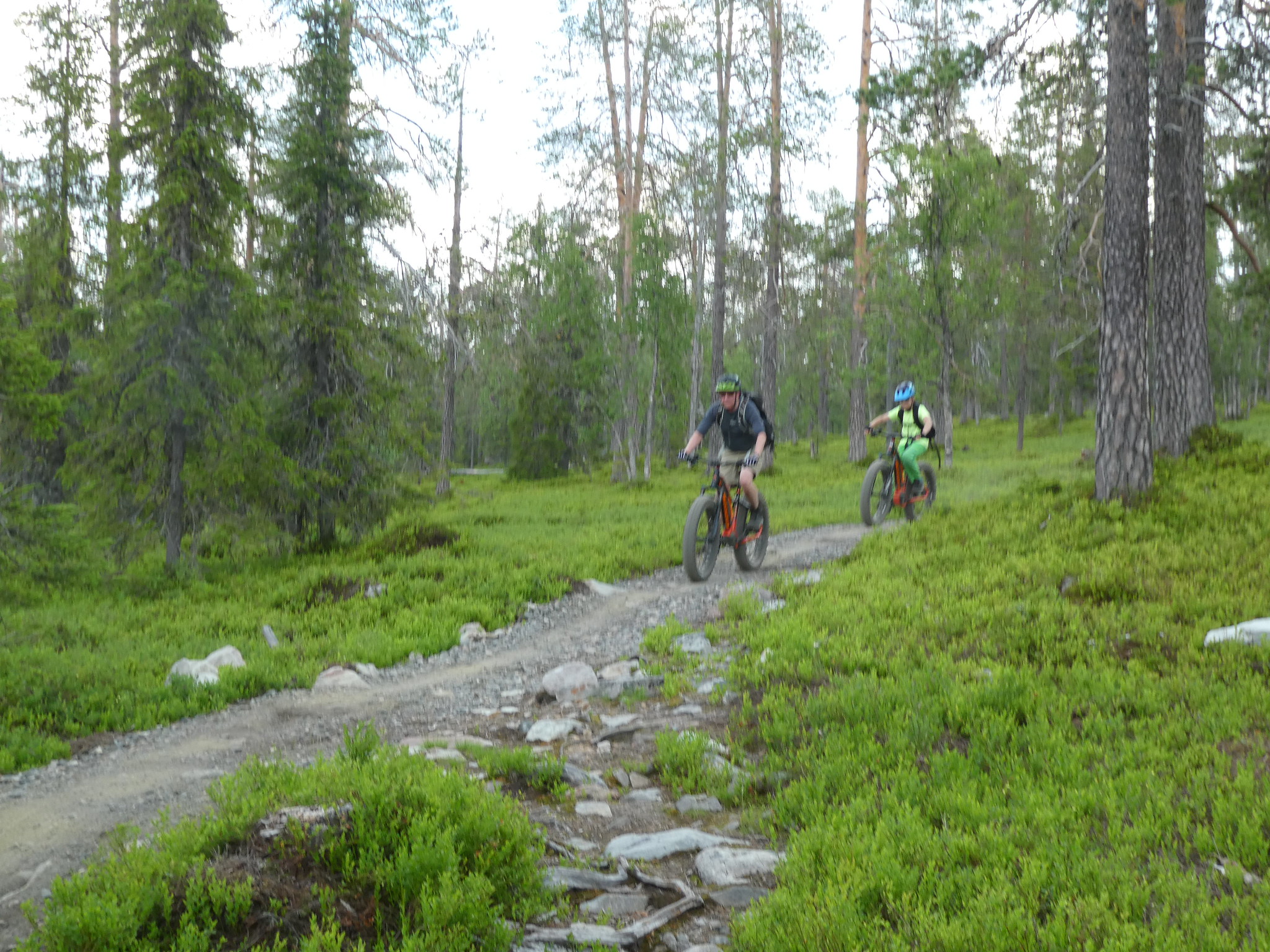 One of the many cycle trails in the Ylläs area