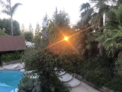 Sunset Through the Trees by sjrankin, Yesterday's sunset through the trees.5july2022 edited sunset trees california northerncalifornia