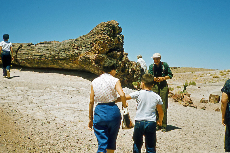 Petrified Forest Slide. 1950s
