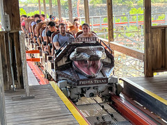 Photo 8 of 10 in the Iron Rattler gallery
