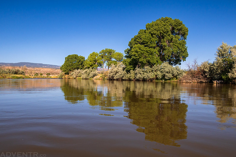 Water & Trees