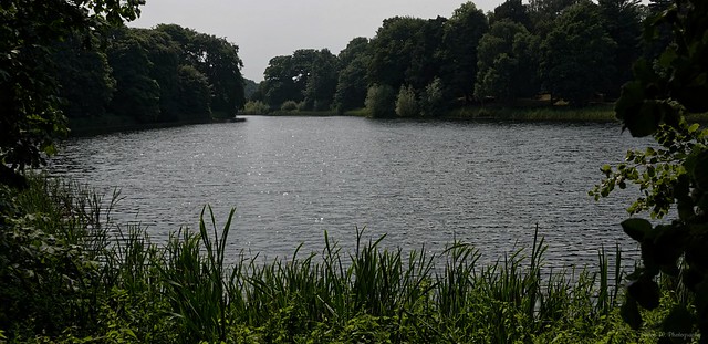 [NT] Nostell Priory Parklands. Middle Lake (02)