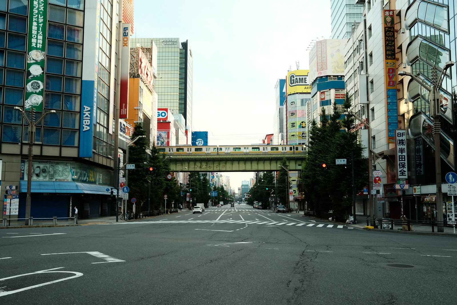 Good morning Akihabara