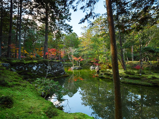 西芳寺(苔寺) Moss garden of Saihoji