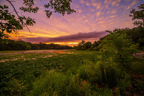 Sunset on Wing Lake by Mercenaryhawk, Very vivid colors after the storm passed by.wing lake minnetonka minnesota mn water lilypads fiery s