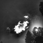 Cloud with Sun and Trees, variant Cloud overhead in Sutter Creek along with a shy sun hiding behind the trees. Grayscale variant.