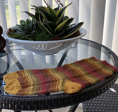 Jan (mrsjanknits) finished a pair of socks in WYS Signature 4 Ply in Autumn Leaves.
