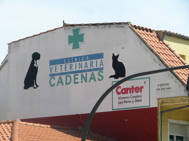 Veterinary Clinic,  South Bank. Zamora, Castille  and Leon, Spain