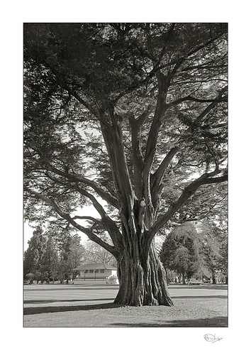 Age | by radspix