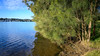 Lake Macquarie foreshore at Blackalls Park, NSW, Australia.