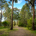 Blackalls Park, NSW, Australia