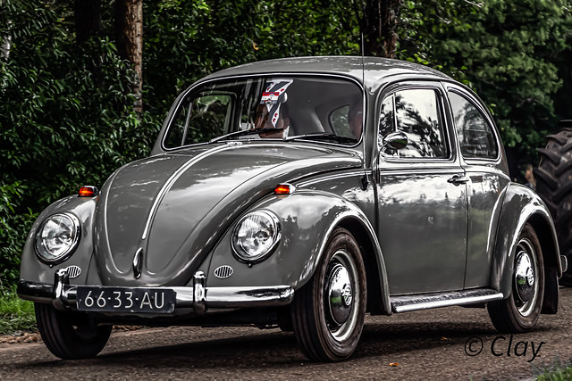 Volkswagen Typ 1 Beetle 1966 (3882)
