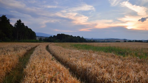 lowersilesia dolnyśląsk polska poland landscape view nature path road field hills sudety sunset evening mood summer sky