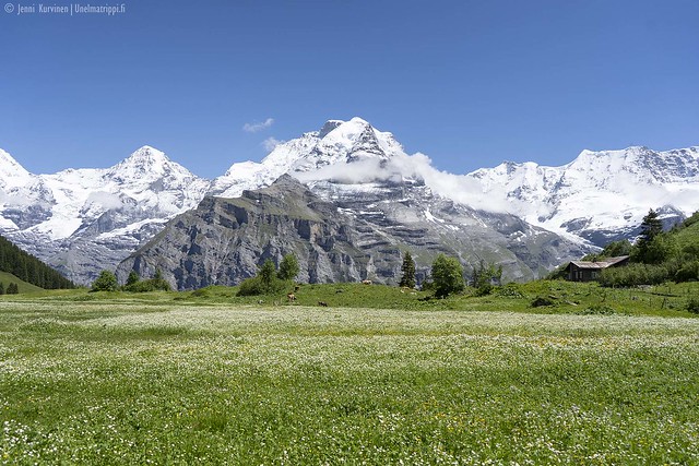 Vuoristomaisema Sveitsin Mürrenissä