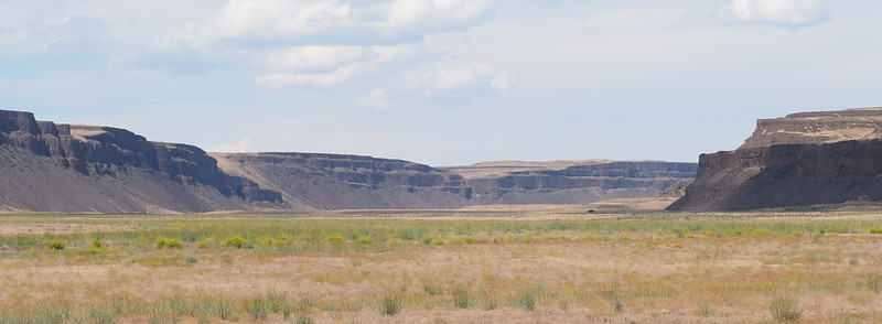 Moses Coulee