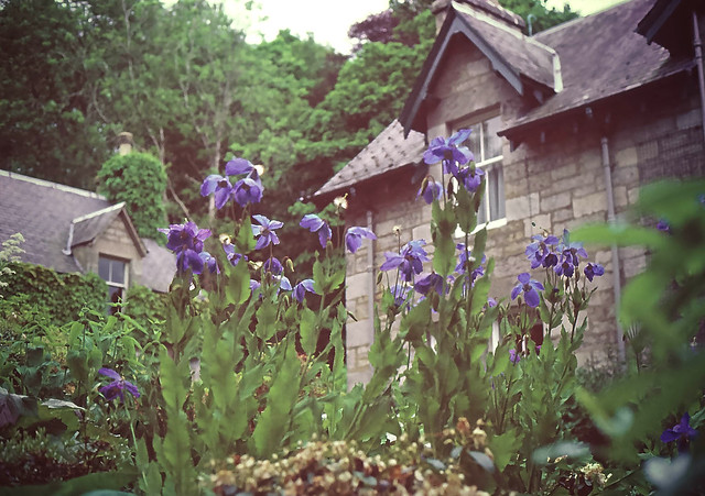 Flower Garden Pitlochry Scotland