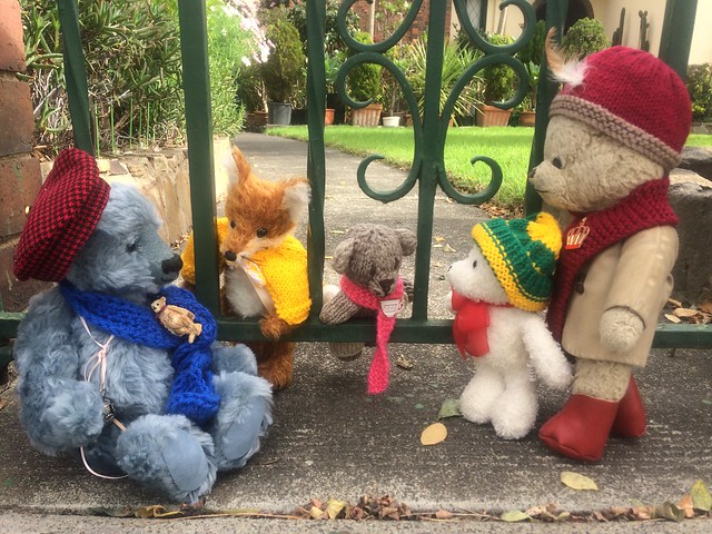 Paddington and Scout Establish Who is on the Wrong Side of the Bars