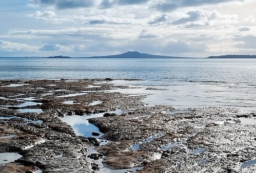 The Foreshore | by scinta1